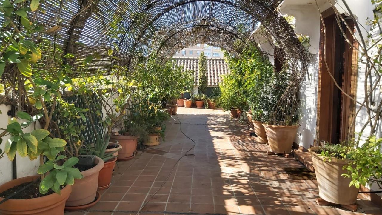 El Jardin De Wallada Cordoba Dış mekan fotoğraf